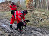 Auch Rettungshunde, hier ein Archivfoto, kamen bei der Vermisstensuche zum Einsatz.