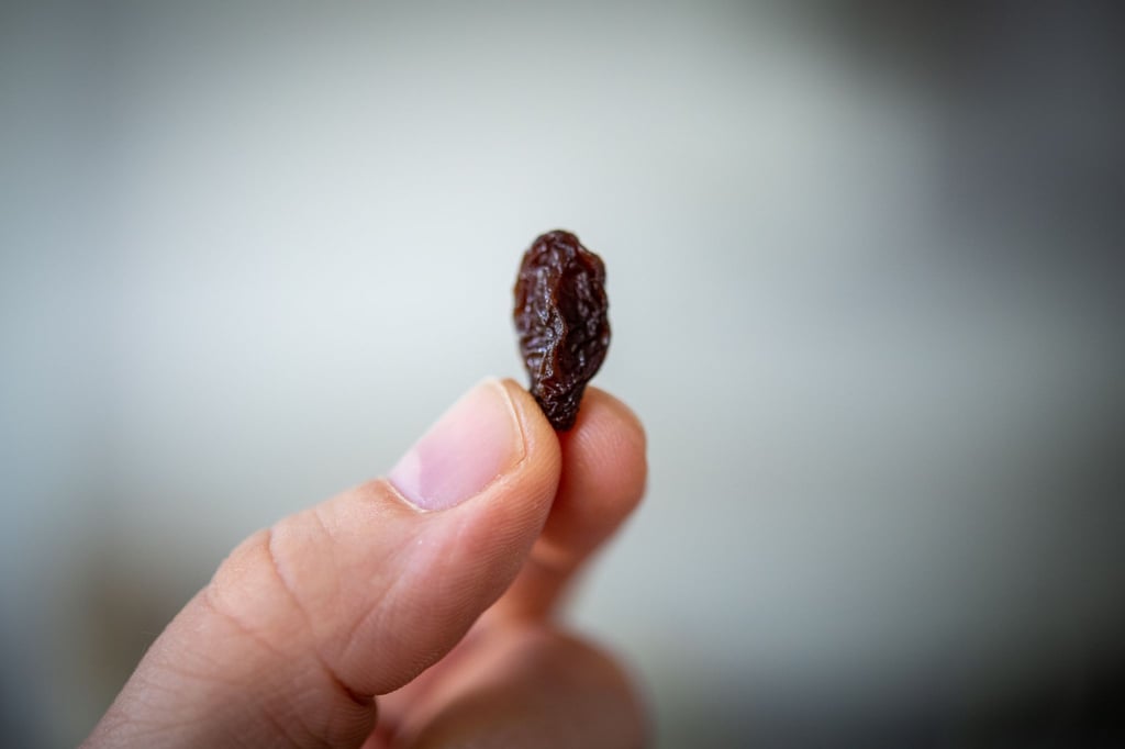 „Öko-Test“ hat 24 Rosinenmarken überprüft und festgestellt, dass die meisten von ihnen Pestizide, Schimmelpilzgifte oder Keime enthalten.