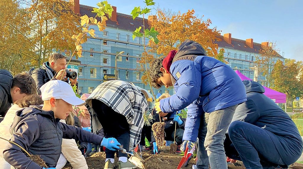 Schüler pflanzten am Mittwoch fleißig den neuen Mischwald ein.
