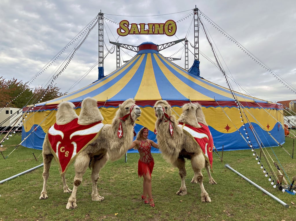 Der „Circus Salino“ gastiert derzeit in Köthen. In der Manege präsentieren sich unter anderem Hula-Hoop-Artistin Letizia sowie zwei Kamele.