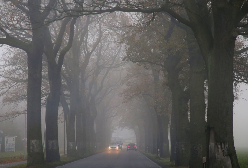 Am Morgen ist es in der Hauptstadtregion neblig. (Archivbild)