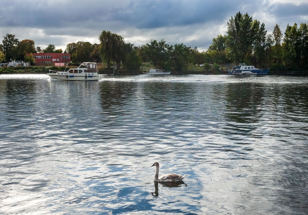 Bei vielen Wolken am Himmel kann es heute gelegentlich auch von oben nass werden. (Symbolbild)