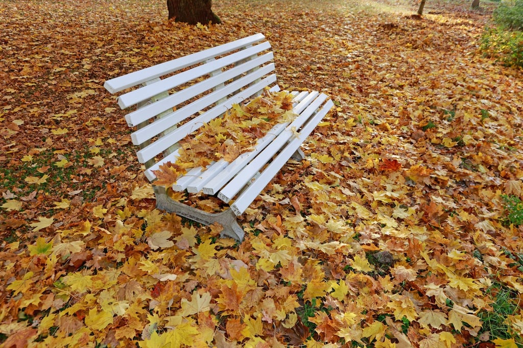 Warmer Oktober in Sachsen-Anhalt: Mehr Regen und Sonne bestimmen die Wetterlage. (Archivbild)