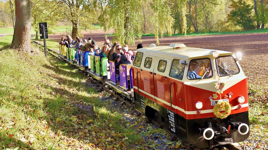 Das nächste Mal fährt die Vateröder Parkeisenbahn erst wieder im nächsten Jahr.