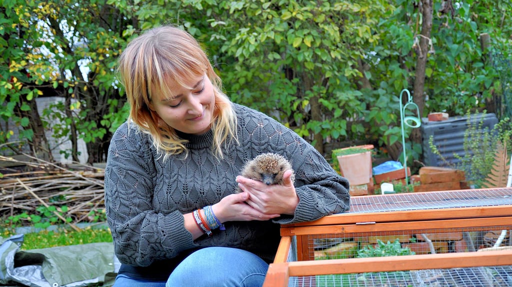 Darleen Pöhls aus Tangermünde mit einem ihrer geretteten Igel an einem Auswilderungsgehege.