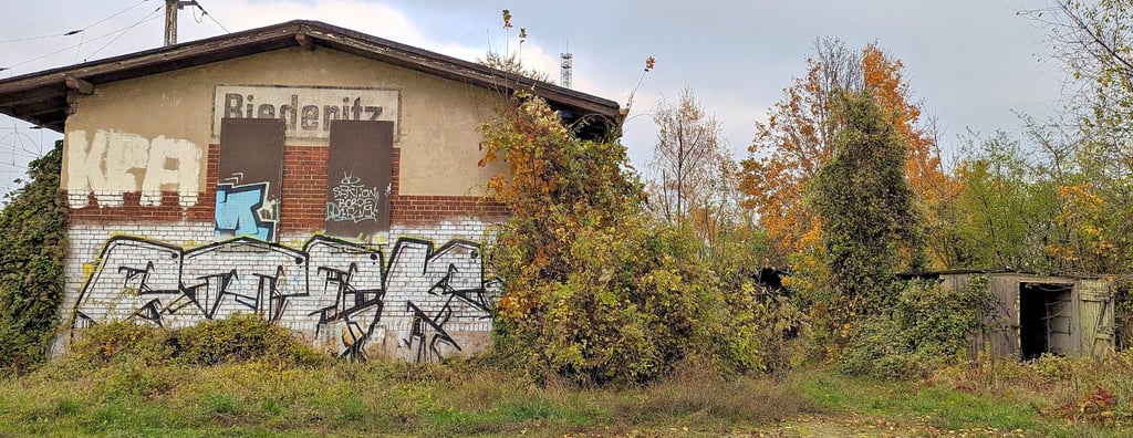 Verwahrlost, vermüllt, verwildert: Auf dem Biederitzer Bahnhof sollen parallel zur Deichstraße insgesamt fünf seit Jahren ungenutzte Gebäude und ein Waggon zurückgebaut werden.
