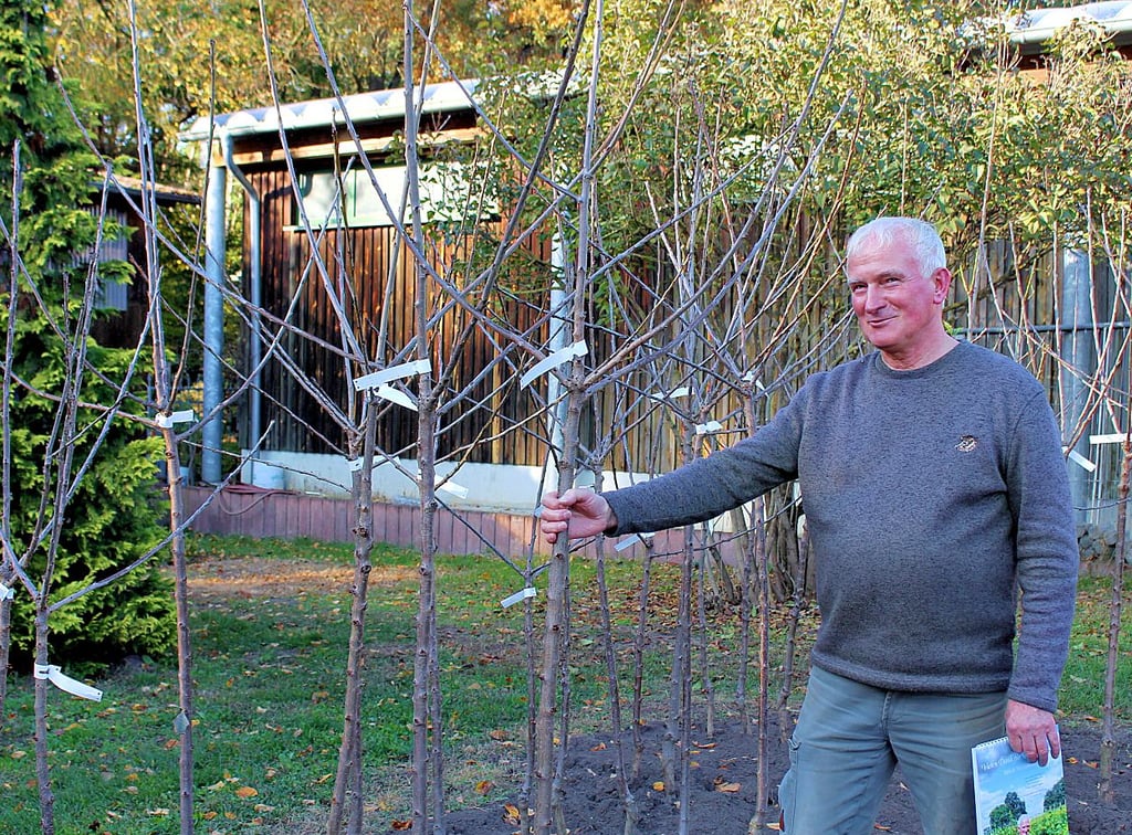 Ulrich Wichmann berät seine Kunden in der Baumschule in Steckby immer individuell.