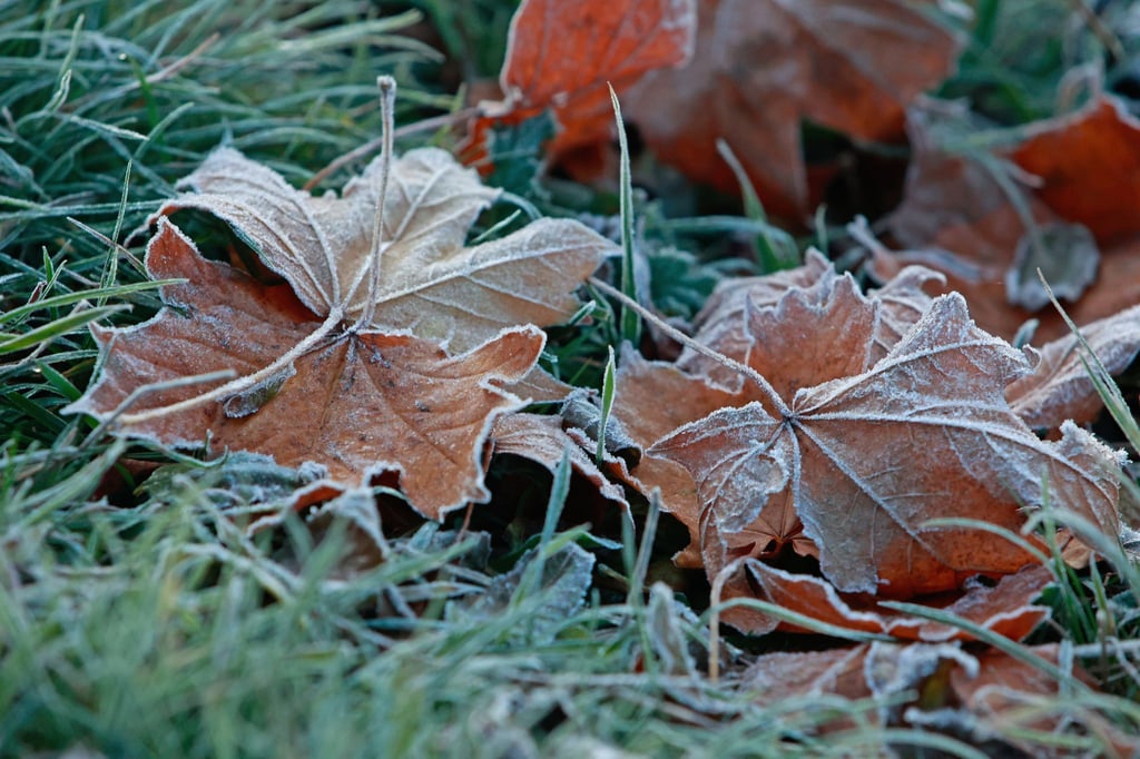 Sachsen-Anhalt steht ein frostiger Wochenbeginn bevor.