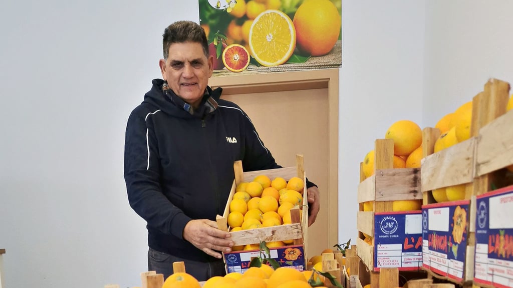 Nicolo D´Anna ist „der Sizilianer“. In den Herbst- und Wintermonaten fliegt der 69-Jährige regelmäßig nach Deutschland.