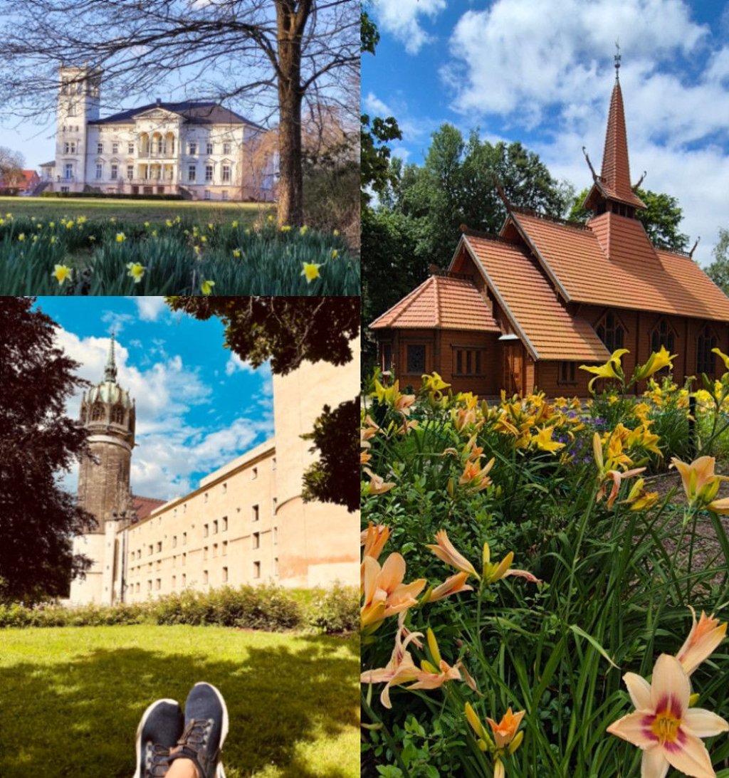 Fast 2000 Motive aus Sachsen-Anhalt wurden bei unserem Fotowettbewerb eingereicht.&nbsp;