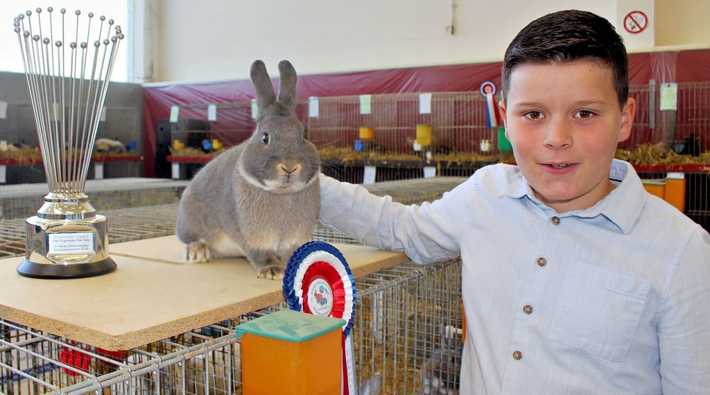 Den Perlfeh-Kaninchen von Til Ullmann haben die Preisrichter auf der Kreisschau eine hervorragende Qualität bescheinigt. Ein Pokal war dem Neunjährigen daher sicher.