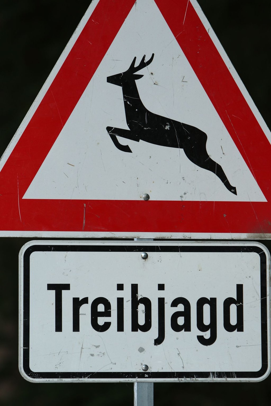 Wegsperrungen im Wald wegen Gesellschaftsjagden. (Archivbild)