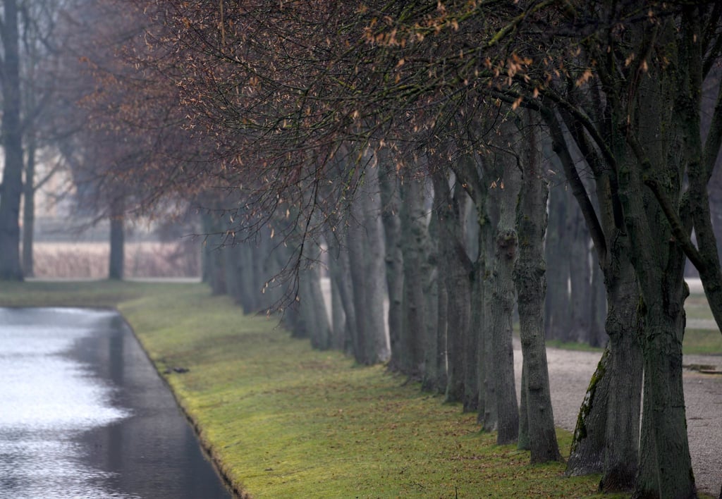 Schlossgarten von Schwerin. Trübes-nebeliges Wetter erwartet die Menschen aus Mecklenburg-Vorpommern. (Symbolbild)