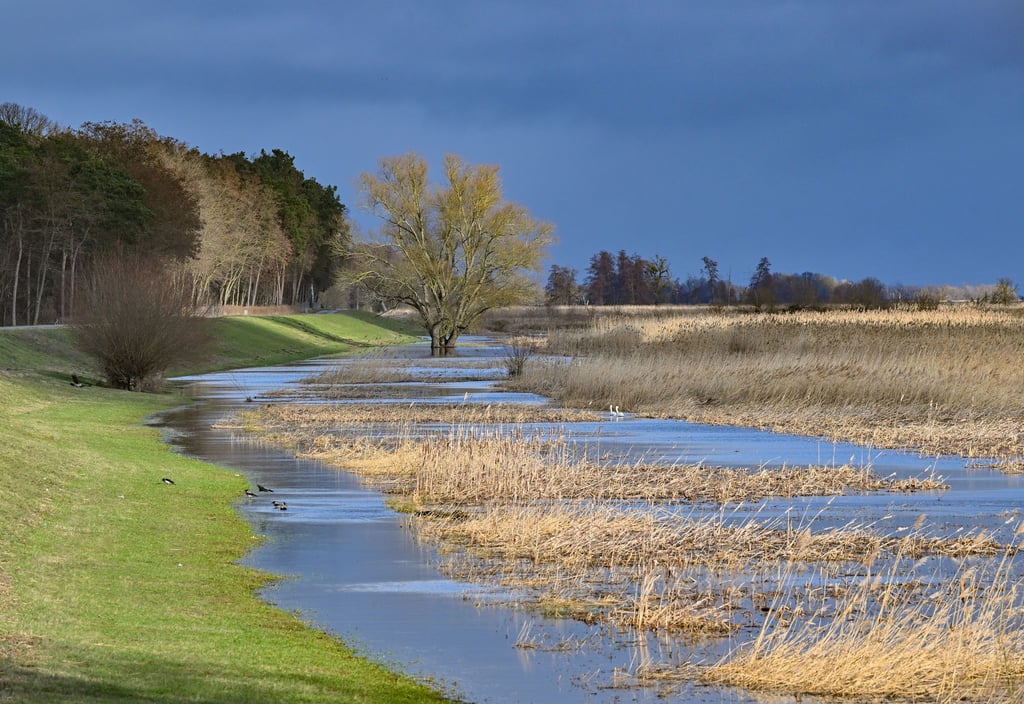 In der Uckermark wird der Hochwasserschutz verbessert - etwa mit einem Bauwerk zur Flutung von Polderflächen. (Archivbild)