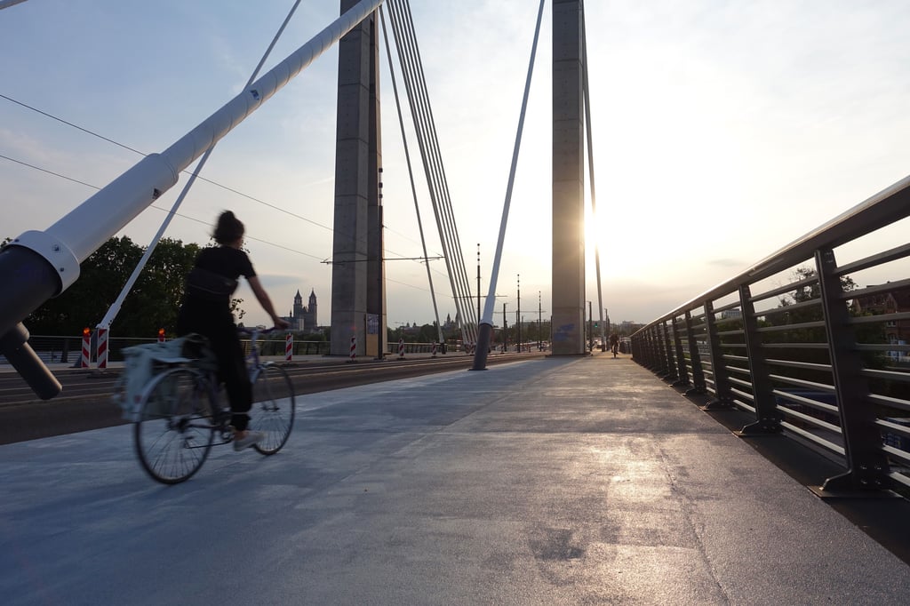 Blick auf die Seile der Kaiser-Otto-Brücke.