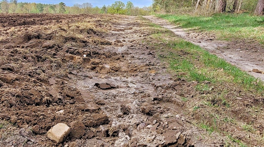 Vom Jeggauer Weg, der in den Klötzer Forst führt, fehlte nach den Feldarbeiten das Bankett und eine halbe Fahrspur. Inzwischen haben Passanten mit ihren Fahrzeugen einen Teil der Fläche „zurückgeholt“.