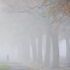 Die Wolken bleiben, der Regen geht - so sieht die Wettervorhersage des DWD in dieser Woche aus. Im Harz kommt es in der Nacht zum Dienstag zu leichtem Schneefall. Am Freitag erwartet uns Nebel in Sachsen-Anhalt.&nbsp;