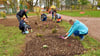 Viele Helfer schlossen sich der Pflanzaktion im Helbraer Park an.