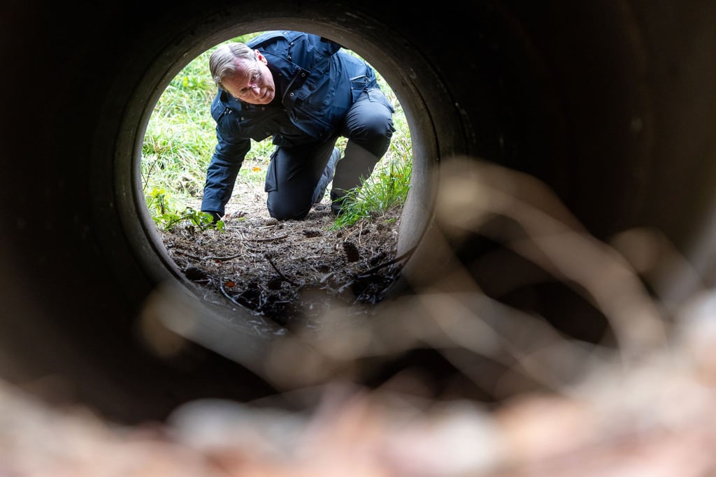 Bei einer Wanderung zum 35. Jahrestag des Mauerfalls kriecht Thüringens geschäftsführender Ministerpräsident Bodo Ramelow (Linke) durch eine Agentenschleuse des ehemaligen innerdeutschen Grenzzauns.