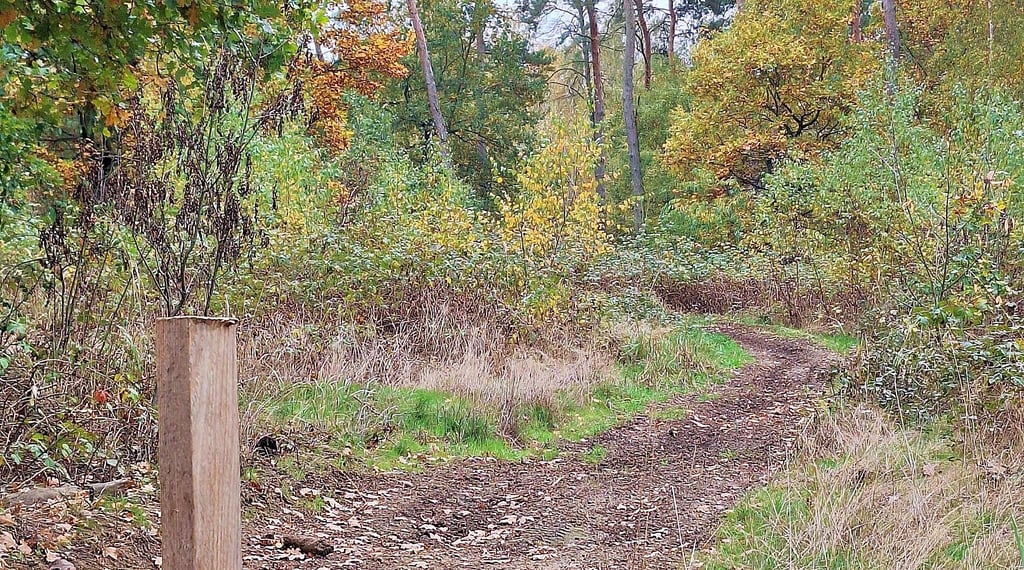 Motocross-Strecke bei Körbelitz.