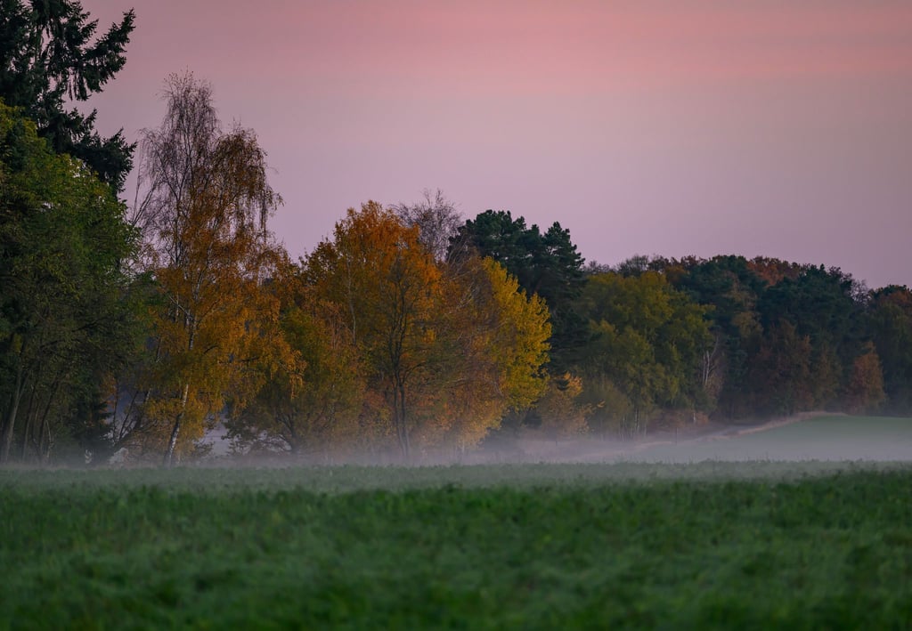 In der Nacht zum Sonntag und am Sonntagmorgen gibt es gebietsweise Nebel. (Symbolbild)