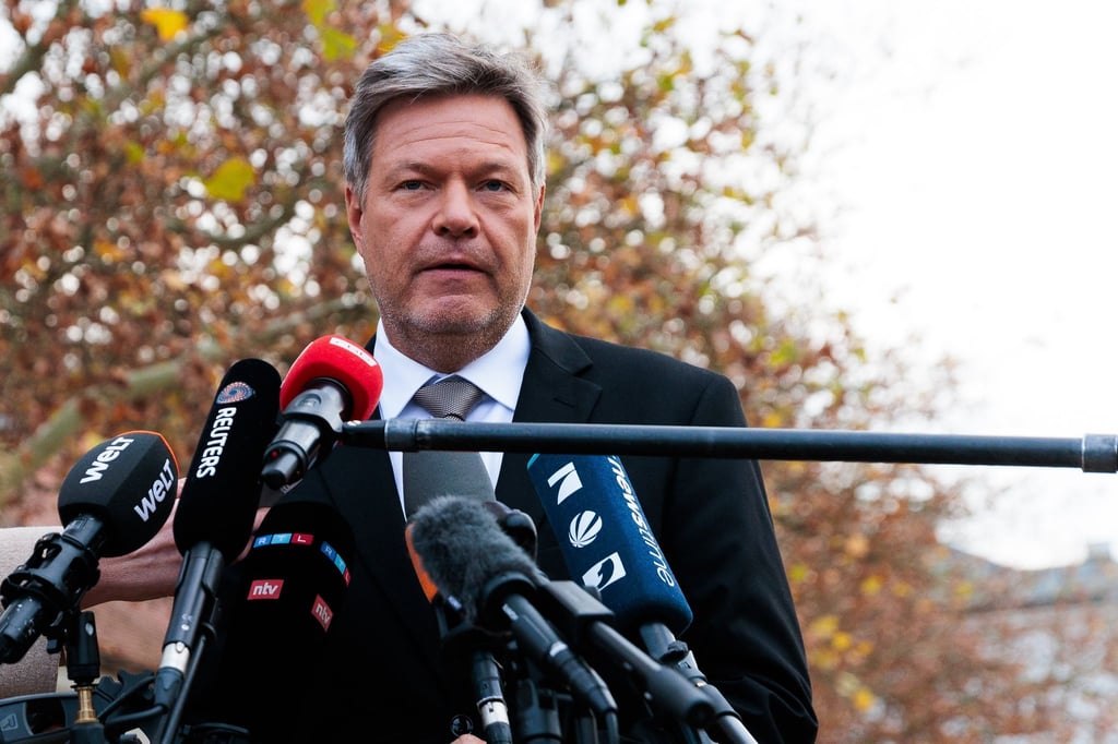 Die Grünen sind offen für einen früheren Neuwahltermin als von Scholz angestrebt.