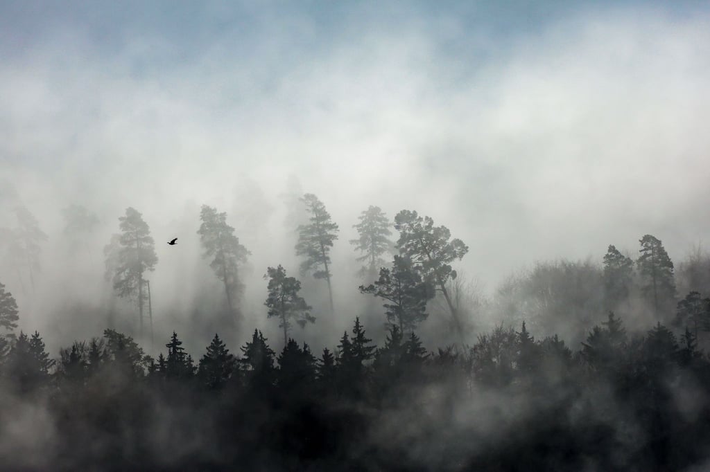 Das Wetter im Freistaat wird schmuddelig mit Regen und Nebel. (Archivbild)