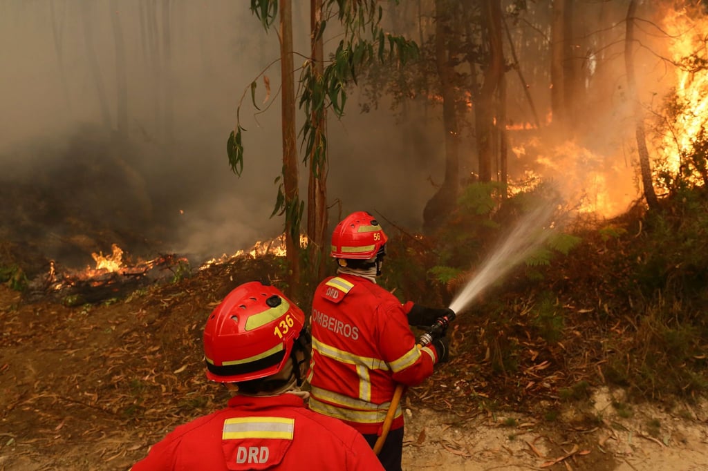 Die Zahl der Waldbrände wächst mit dem Klimawandel (Archivbild)