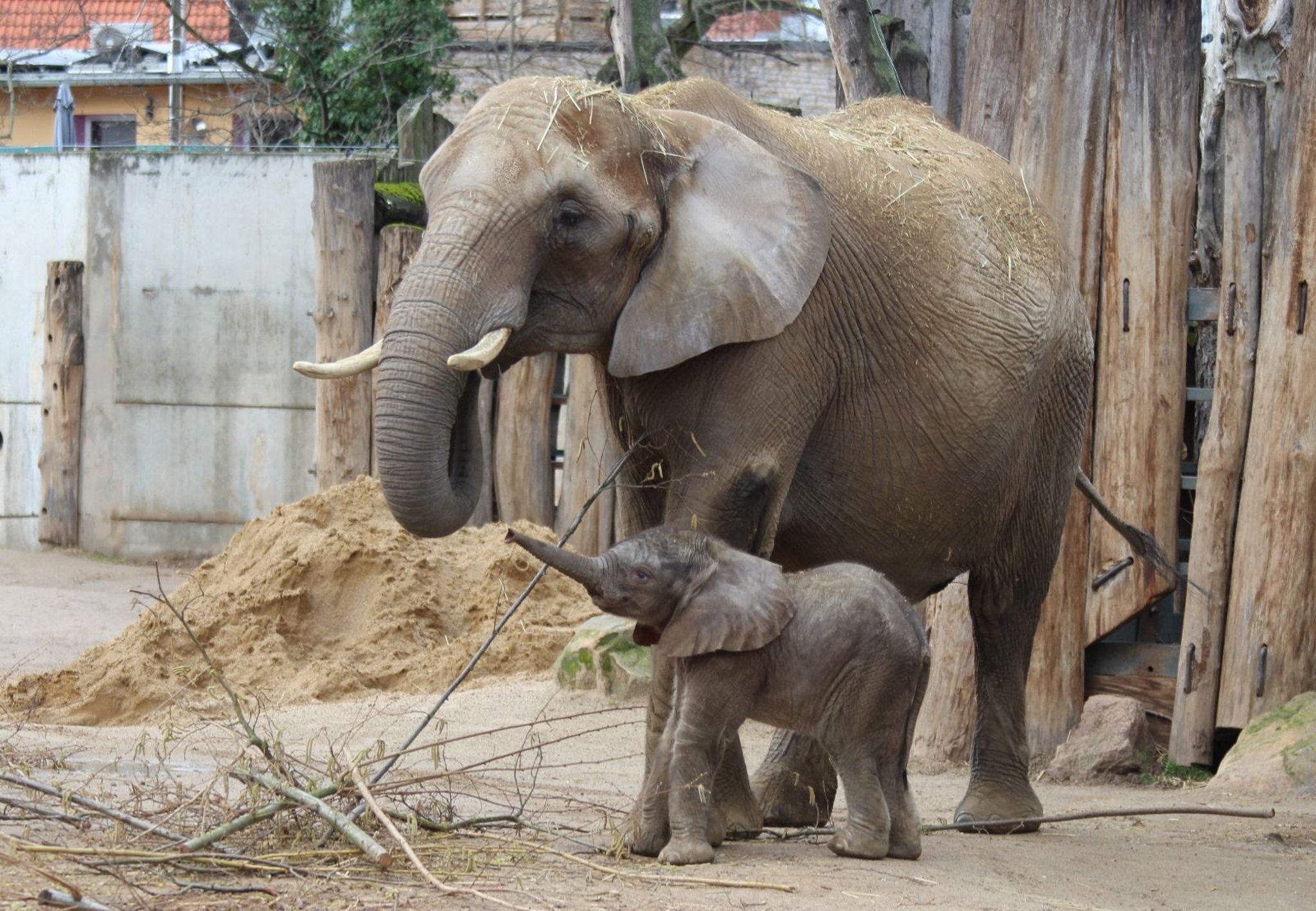 Aktion im Bergzoo Halle Besucher dürfen Eintrittspreis bestimmen