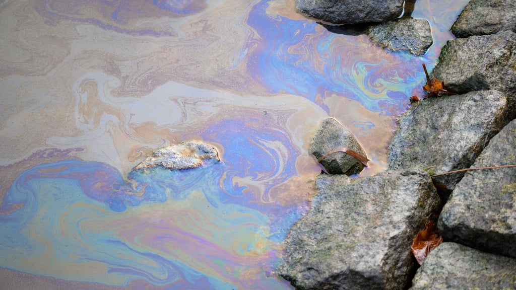 Ein Ölfilm auf dem Wasser des Kanals. Ähnlich sah es am Freiag im Elbe-Havel-Kanal in Genthin aus, wo 200 Liter Sonnenblumenöl ausgeschüttet wurden - versehentlich.