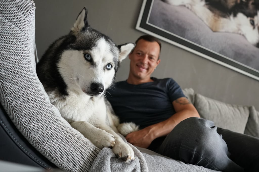 Gerichtsbeschluss: Nach einer Trennung ist ein gemeinsam angeschafftes Haustier als Alleineigentum einem der bisherigen Miteigentümer zuzuweisen.