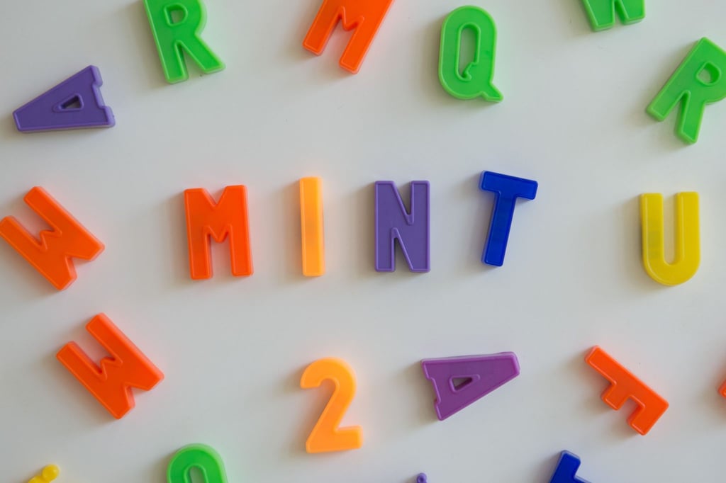 Die Abkürzung MINT steht für die Fächer Mathematik, Informatik, Naturwissenschaften und Technik. (Symbolbild)