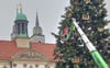 Die Vorbereitungen für den Weihnachtsmarkt in Magdeburg vorm Rathaus laufen. Hier wird die Tanne geschmückt.