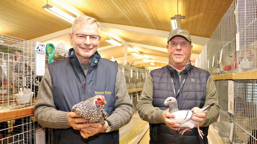Zwei stolze Vereinsmeister in Seyda: Dietmar Klehs (links) siegte bei den Zwerghühnern mit der Rasse Zwerg-Wyandotten (silberschwarz-gesäumt), Karl-Heinz Klopsch bei den Tauben mit Schautauben (blaufahl mit dunklen Binden). In den Händen hält er das schönste Tier der Ausstellung, das den Titel „Champion“ zuerkannt bekommen hat.