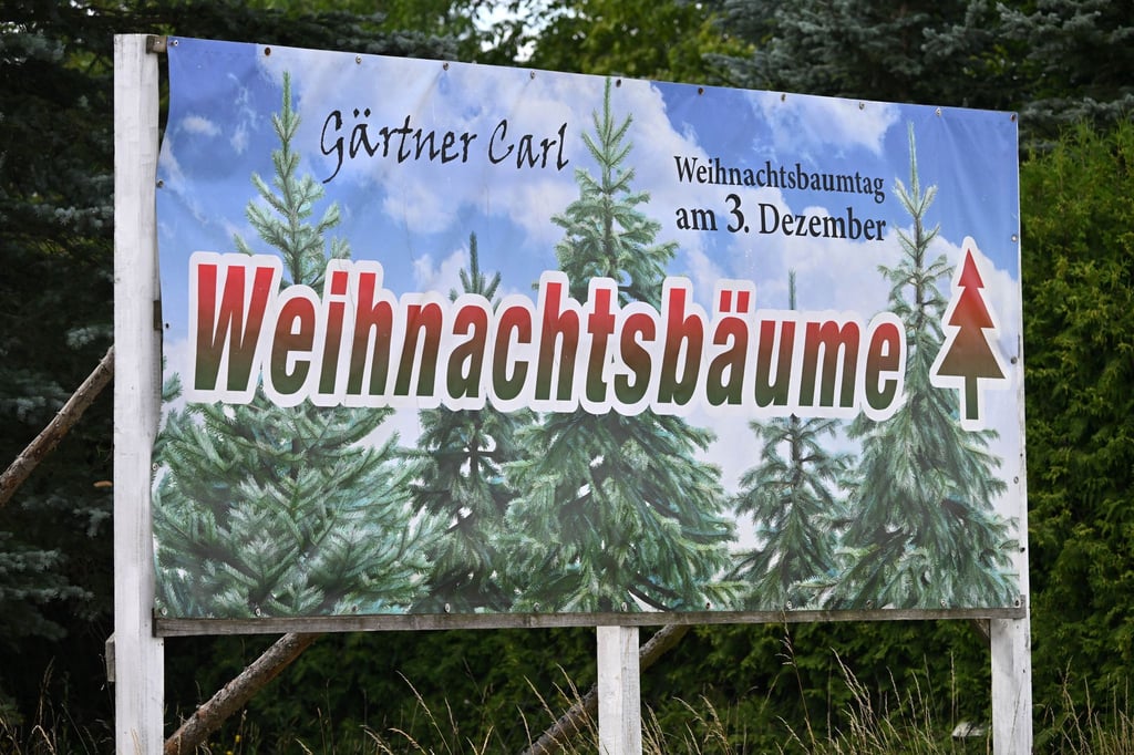 Weihnachtsbäume sind für viele Menschen in Thüringen ein Muss (Archivbild).