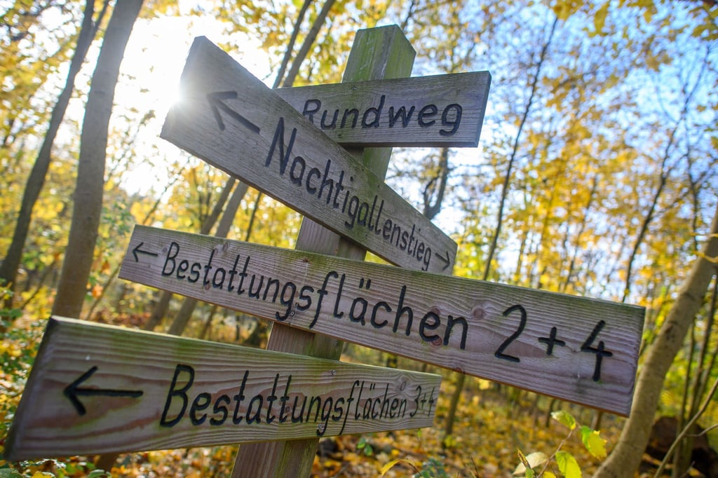 Im Friedwald ist kein Grabschmuck zugelassen. (Archivbild)