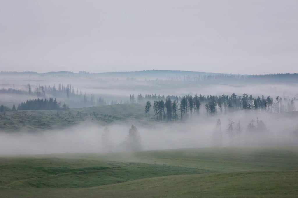Wolken, Regen und Nebel dominieren die nächsten Tage in Sachsen-Anhalt. (Symbolbild)