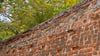 Einzelne Abschnitte der Zerbster Stadtmauer wie hier im Weinberg befinden sich in einem sehr schlechten Zustand.