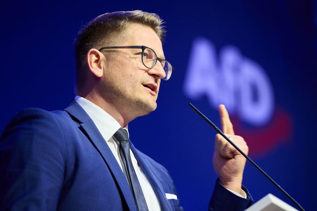 Der Brandenburger AfD-Landeschef René Springer hält den Antrag auf Prüfung eines AfD-Verbots für ein „antidemokratisches Komplott“ (Archivbild).