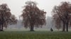 Herbstlich grau startet das Wochenende in Sachsen. Am Sonntag beginnt es zu regnen und im Bergland schneit es. (Symbolbild)