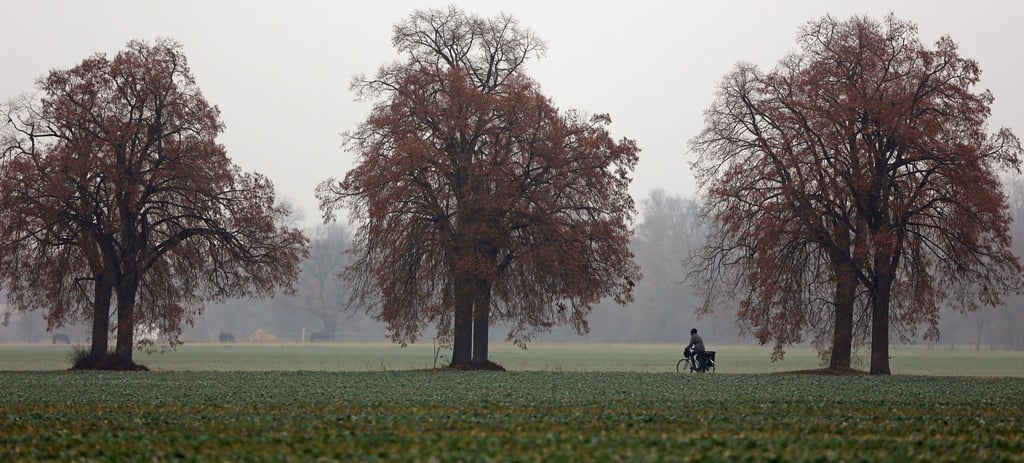 Herbstlich grau startet das Wochenende in Sachsen. Am Sonntag beginnt es zu regnen und im Bergland schneit es. (Symbolbild)