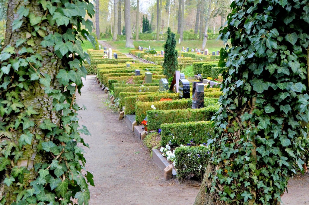 Der Gardelegener Friedhof ist einer von insgesamt 27 Friedhöfen in städtischer Trägerschaft. Hier gibt es noch etwa 1400 freie Grabstellen.