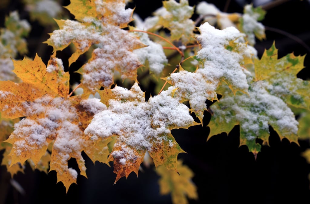 Nächste Woche zeigt sich der Frühwinter.
