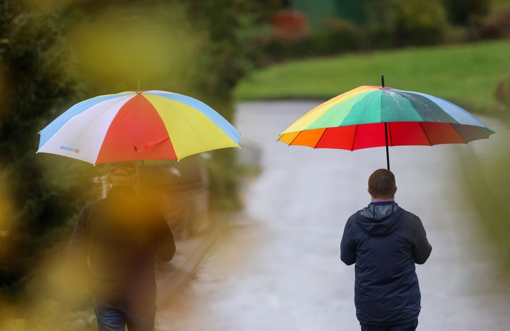 Die neue Woche bringt in Sachsen-Anhalt einen Wetterumschwung. Das ruhige Herbstwetter ist vorbei, es wird nass und windig. (Archivfoto)
