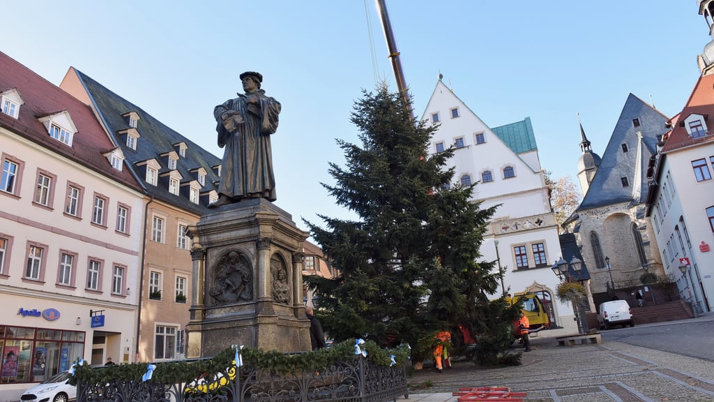 Eine Nordmanntanne ziert seit Montag den Marktplatz in Eisleben.