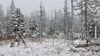 Auch auf dem Brocken hat es geschneit. (Foto Aktuell vom 17.11.)