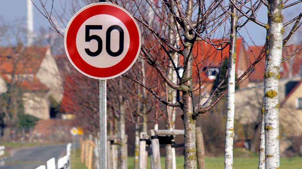 Auf der L 230 zwischen Meisdorf und Ermsleben soll künftig ein Tempolimit gelten.