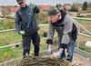 Volker Huthmann (rechts) und Michael Arens bringen das Storchennest auf dem Hof Dohse  auf den dortigen Schornstein.