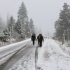 Schnee in Sachsen-Anhalt: Die Kreisstraße am Brocken gleicht einer Winterlandschaft.