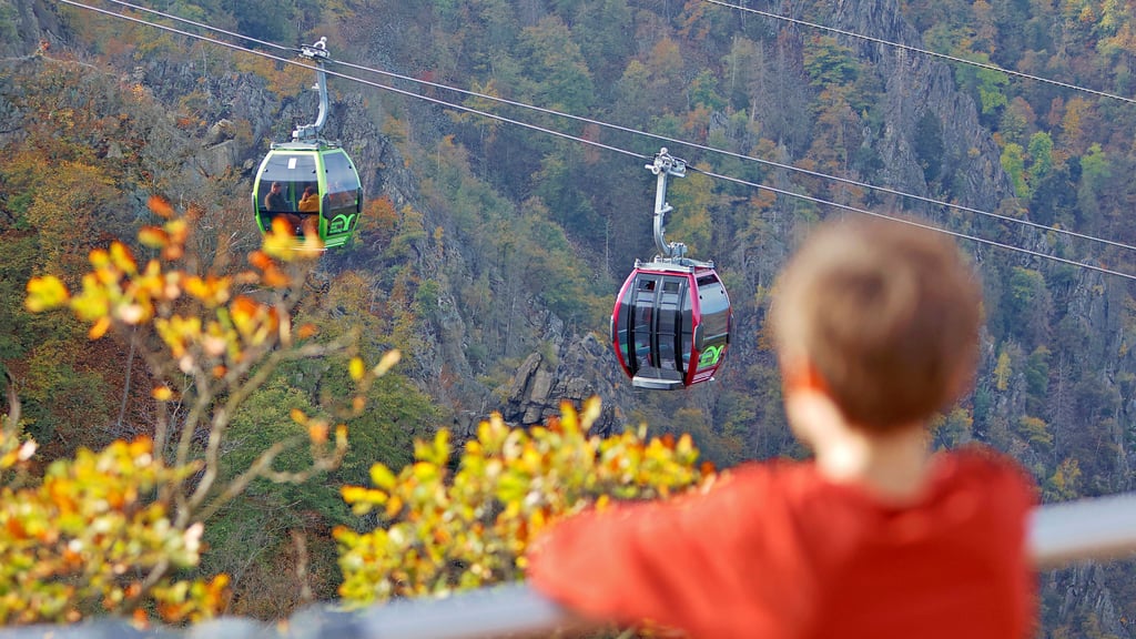 Die grünen und weinroten Gondeln der Kabinenseilbahn bringen die Besucher bequem auf den Hexentanzplatz in Thale.